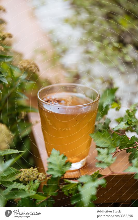 Delicious herbal drink with anise in garden healthy beverage glass natural tea liquid juice delicious fresh refreshment vitamin sweet hot composition