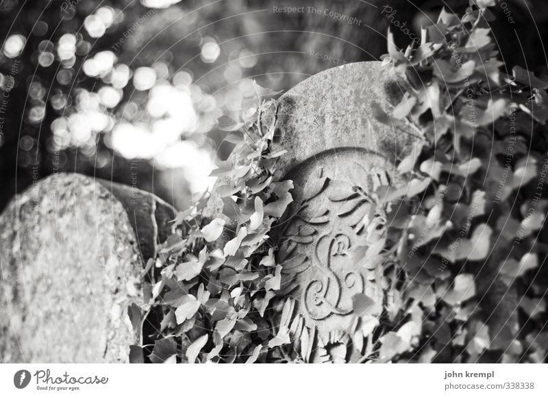 R.I.P. Ivy Paris Cemetery Tombstone Grave Stone Old Creepy Hope Belief Grief Death Longing End Apocalyptic sentiment Religion and faith Black & white photo