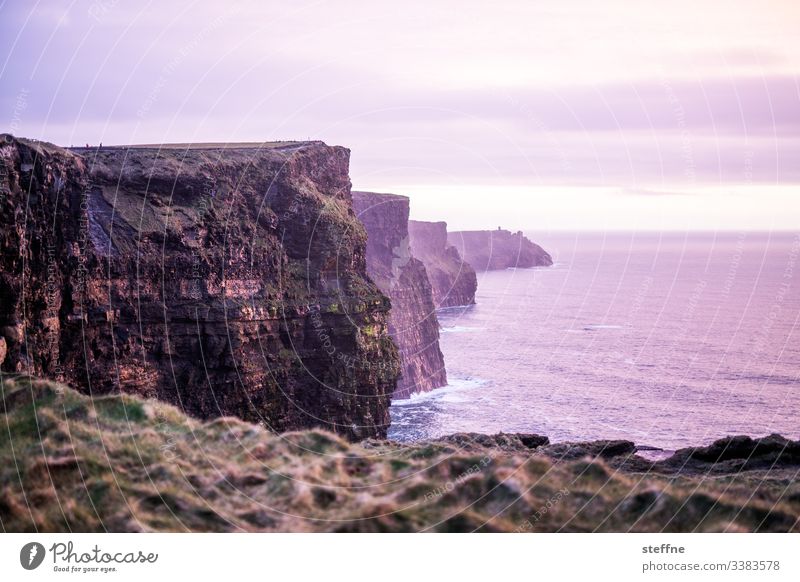 Cliffs of Moher at sunset Tourist Attraction tourist attraction vacation romantic Sunset blue hour Cliffs by the sea steep coast Ireland