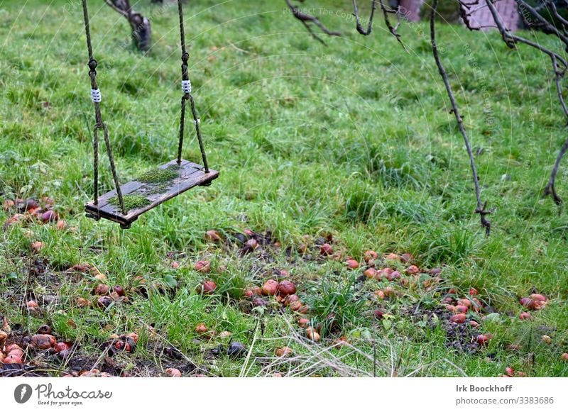Swing in autumn Playground Joy Exterior shot To swing Infancy Garden Deserted Leisure and hobbies Colour photo Autumn Moss apples Gloomy dreariness Loneliness