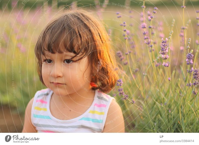 Beautiful girl in a lavender field at sunset Childhood Sunset lavander Purity Family & Relations Reliability portrait smile Summer family Human being