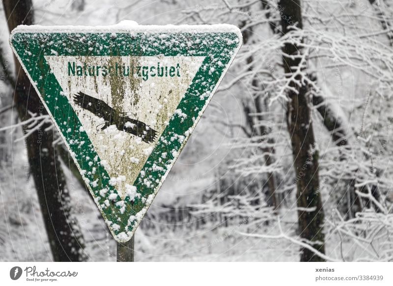 older nature reserve sign with snow Nature reserve Snow Winter Forest Cold Environment trees Weathered Old Signage White-tailed eagle