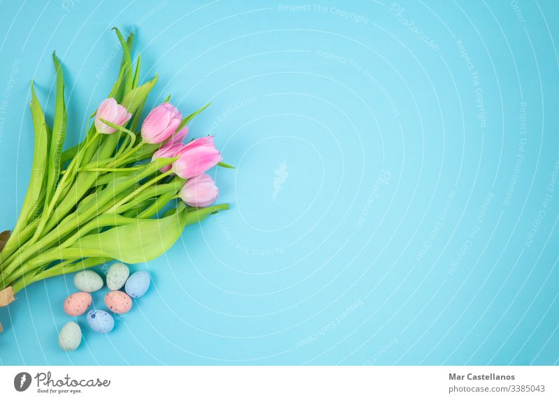 Bouquet of tulips and Easter eggs on a blue background. Concept of Easter. Copy space. copy space card celebration invitation pink stem green bouquet flower