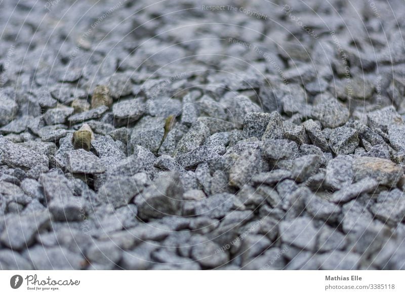 Grey gravel stones Colour photo Exterior shot Deserted Rock Pebble Gravel Stone Small Blank background Building material Consistency Beach Black & white photo