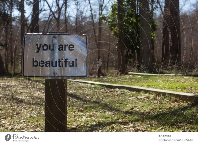 You Are Beautiful Encouraging Kind Words Sign Found on a Nature Trail Footpath Lanes & trails Freedom forest Relaxation Peace Calm Summer Tree Forest Spring