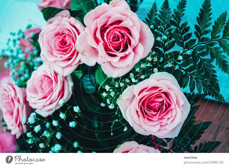 Beautiful bouquet of pink roses spring background wedding decoration fresh freshness coral gift valentine valentine's day floral in bloom blossoming beautiful