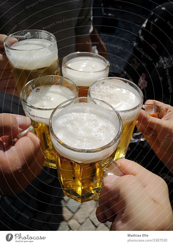 To your health! With a full glass of beer Beer Exterior shot Friendship Drinking Beer garden Alcoholic drinks Joy Colour photo Day Toast Shallow depth of field