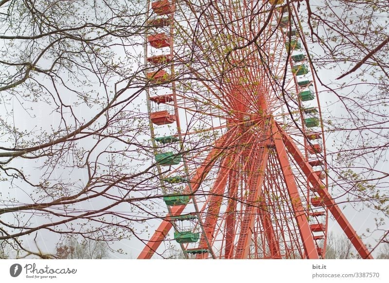 Colourful, old, empty Ferris wheel turns between branches, twigs and trees in the closed amusement park in Plänterwald, Spreepark, Treptow, Berlin. Event