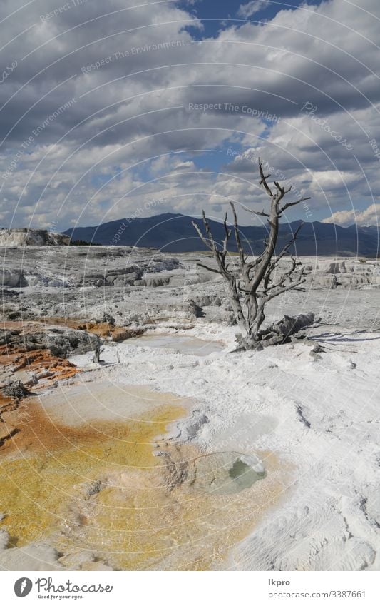 yellowstone national park the nature wyoming wonder holiday scene hot destination glory scenery faithful mountain america view travel landscape water scenic