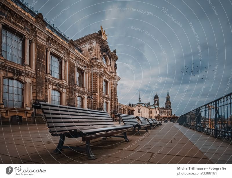 Elbe Terraces Dresden Saxony Capital city elb terraces Architecture Building spires World heritage benches Facade Window Handrail Tourism travel Town City trip