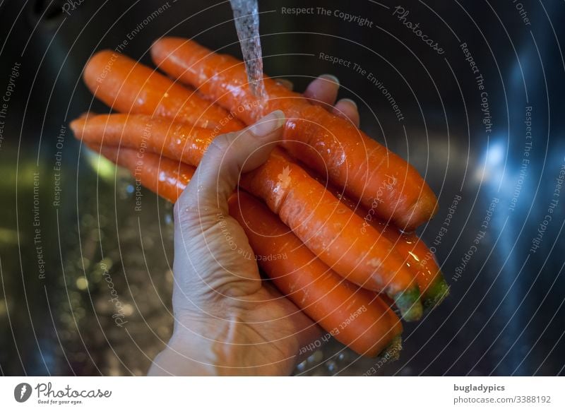 carrots held by hand under running water over a sink in the kitchen Kitchen Sink Wash Water Hand Cleaning Tap Organic produce boil Vegetable Orange food