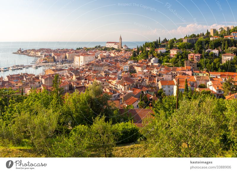 Panoramic view of old town Piran, Slovenia, Europe. Summer vacations tourism concept background. piran slovenia sea adriatic landscape travel blue roof summer