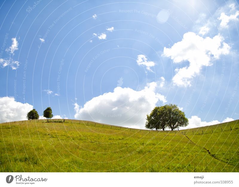 sinusoidal curve Environment Nature Landscape Plant Sky Sunlight Spring Summer Beautiful weather Tree Bushes Meadow Field Natural Blue Green Colour photo