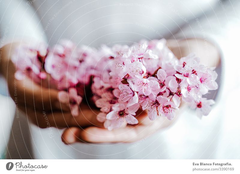 unrecognizable woman holding a bouquet of almond tree flowers indoors. pink blossom. Springtime concept hands blooming springtime lifestyle nature close