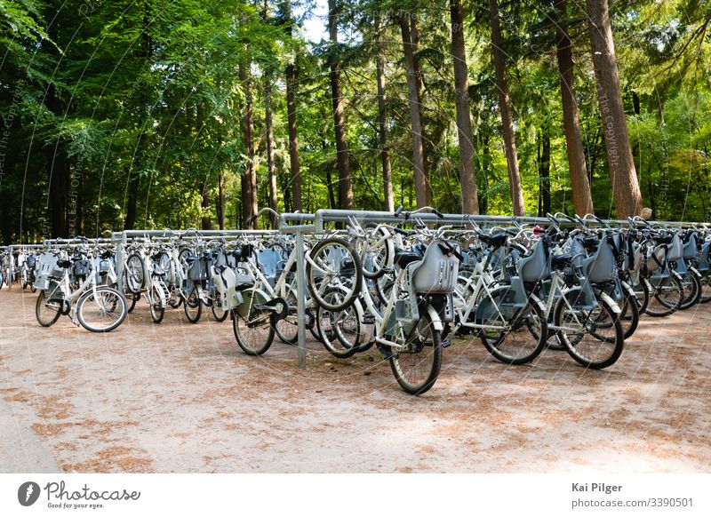 Dozens of bikes are parked in the Dutch national park De Hoge Veluwe active bicycle bicycles biking day de hoge veluwe dutch europe forest green healthy
