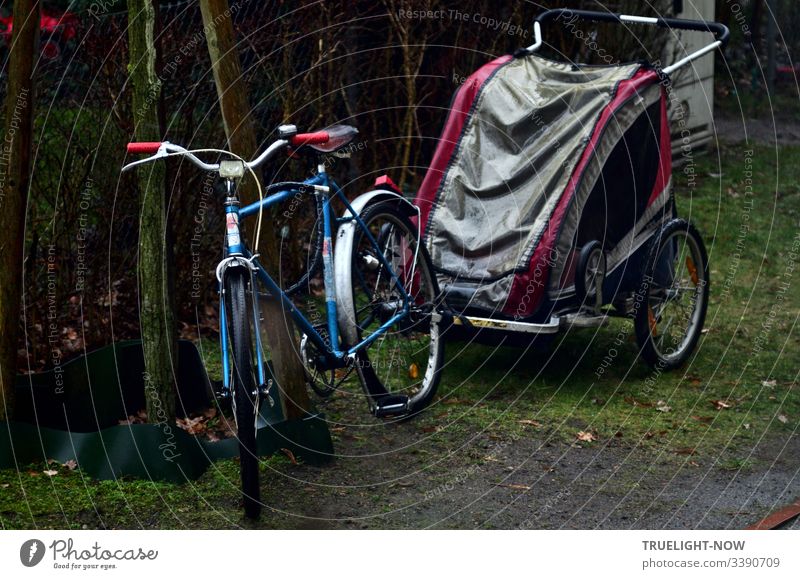 Blue-silver bicycle with red handles and trailer (buggy) in grey / magenta parked by the garden fence for transporting children in the rain Bicycle