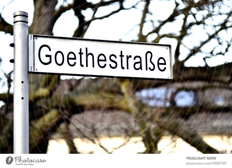 Modern, white street sign Goethestraße, freestanding on aluminium pole in front of a blurred background (old tree, row of houses, sky). Exterior shot Street