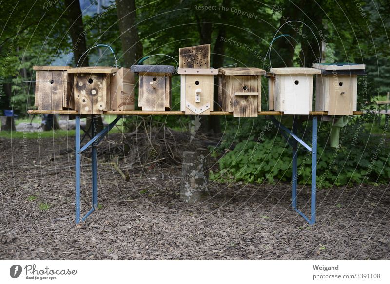 nesting box Nesting box bird protection nature conservation Build Wood do carpentry