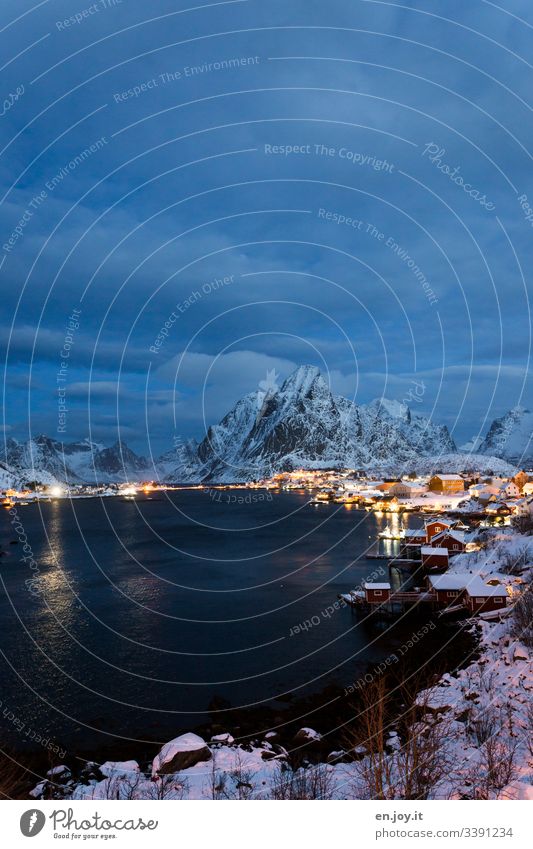 Pure on the Lofoten Islands Blue vacation famous Tourist Attraction Small Town Water Night Evening blue hour Wide angle Idyll Light Fishing village