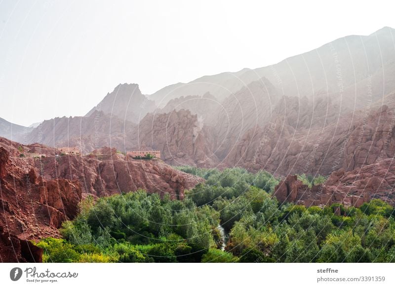 nature stuff River Forest rock Back-light Morocco