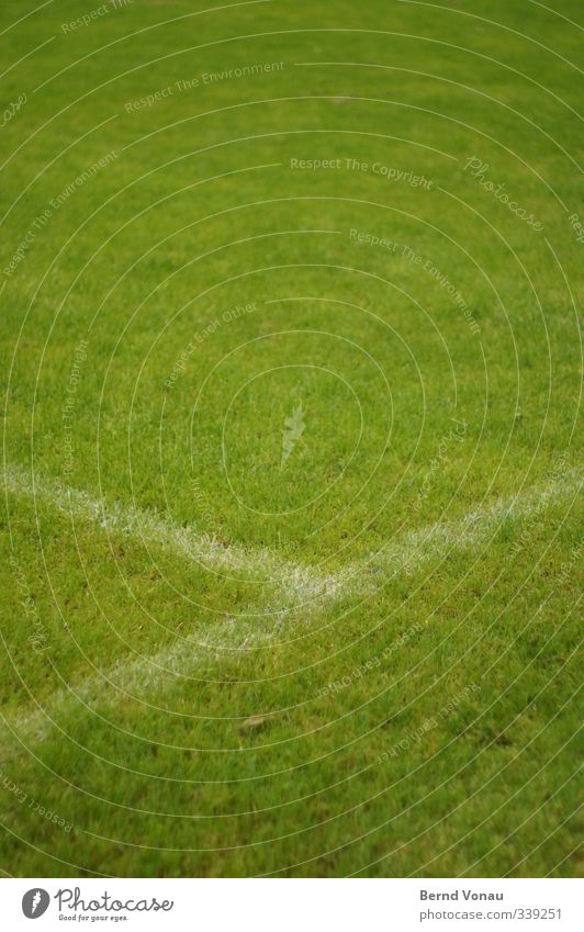 penalty area Playing Soccer Football pitch Sporting grounds Grass surface Looking Fresh Green White Calm Sports Connection Colour photo Exterior shot