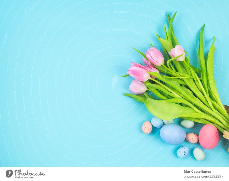 Bouquet of tulips and Easter eggs on a blue background Copy space. bouquet flowers copy left easter eggs top view woman women's day mother's day valentine's day