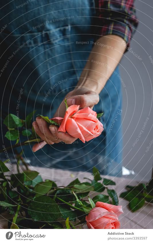 Unrecognizable female professional florist making bouquets. Blooming background owner composition beautiful creative floral craft job workshop nature decor