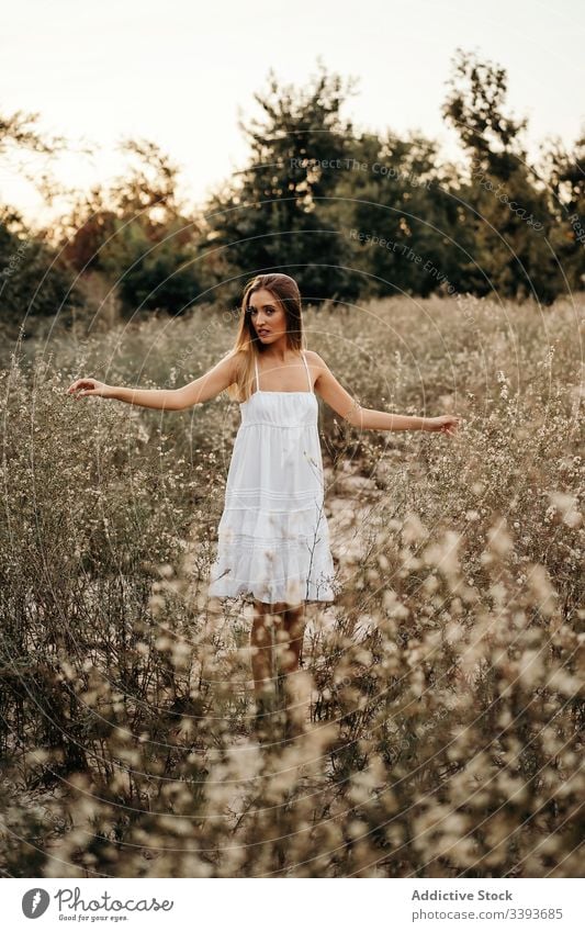 Tender lady standing in blooming field woman nature blossom white dress harmony gentle female summer tender young flower freedom carefree serene weekend idyllic