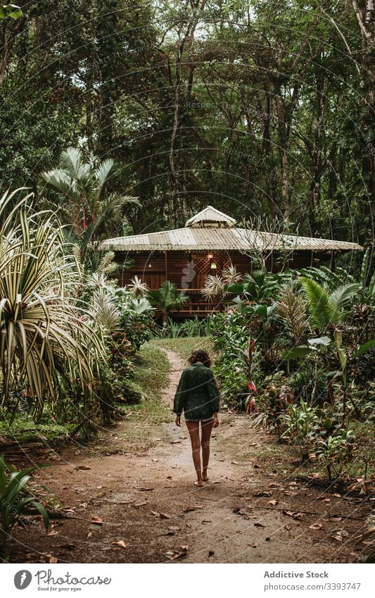Anonymous female tourist in green rainforest woman tropical vacation travel bungalow jungle exotic plant tourism nature tree palm path countryside lifestyle
