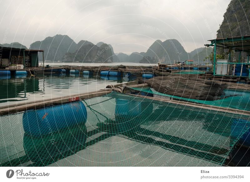 Floating fishing village on the water with fish farm and nets in Halong Bay in Vietnam Fishing village floating village Fisherman Fishing net Asia Fishery Ocean