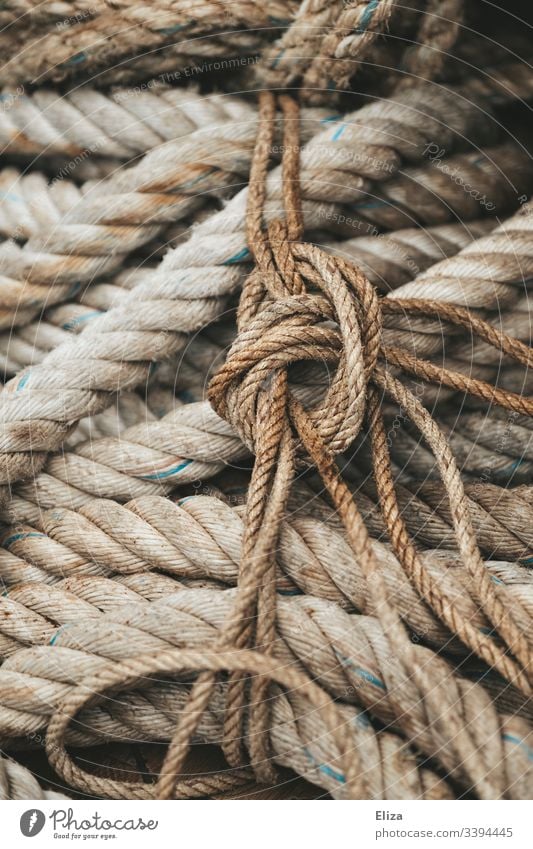 Close-up of thick, rough ropes and cords in beige and one knot. Concept safety. seafaring Rope Dew Knot Old Detail Colour photo Sailing ship knotted