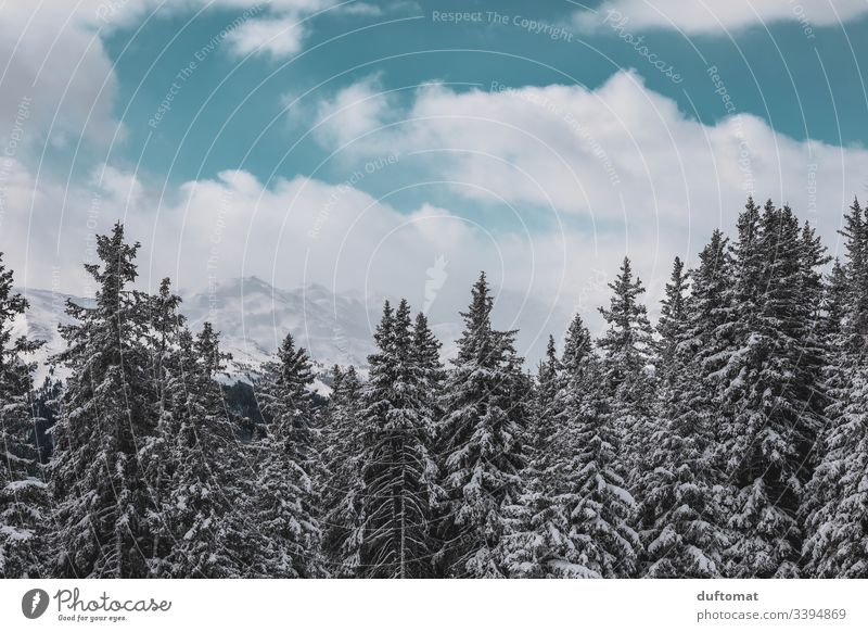Snow-covered fir trees in front of an alpine panorama mountains Skiing Valley skis Cold Winter Alps Landscape holidays vacation Ski run Sky Fresh