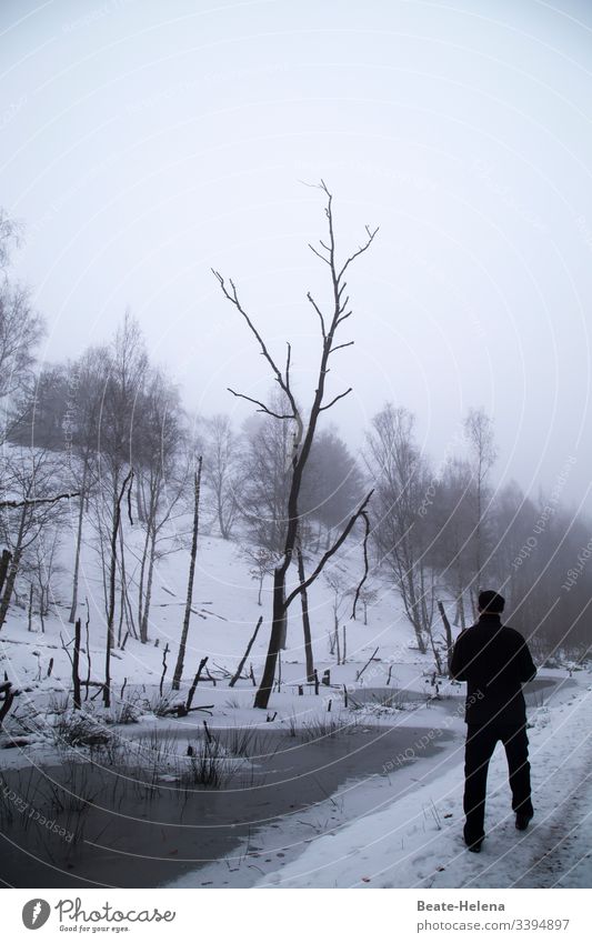 Winter has come! black-white chill To go for a walk Trees Bleak Snow Water Death of a tree bare trees Environment