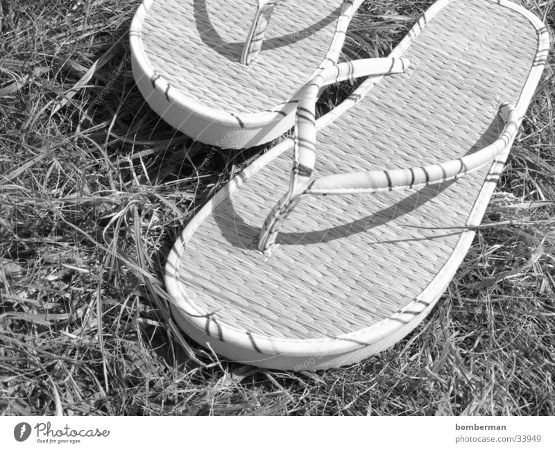 flip-flops Flip-flops Sandal Footwear Grass Photographic technology