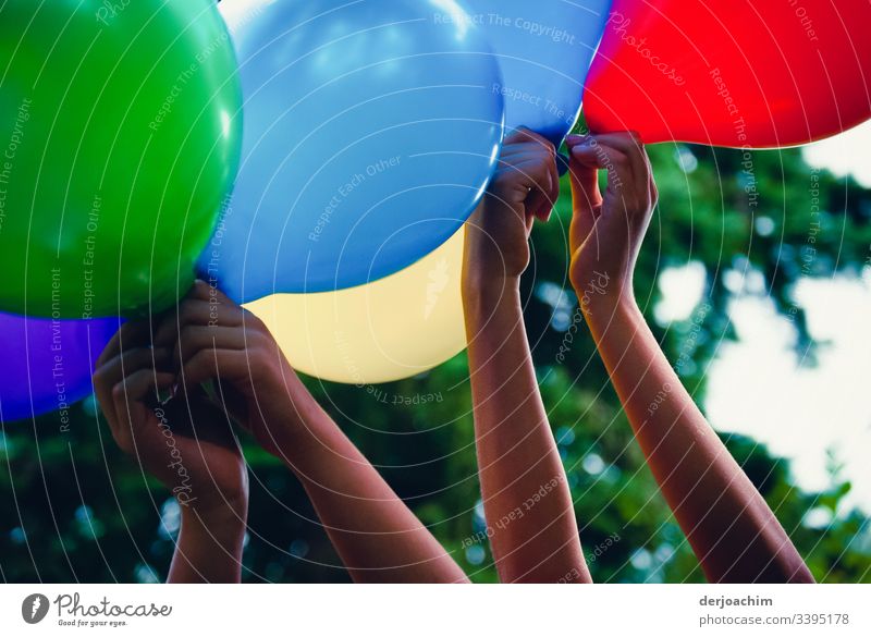 Children's hands hold colourful balloons in the air. Red, blue, green and yellow. A tree in the background. Fingers Children's game Colour photo symbolic power