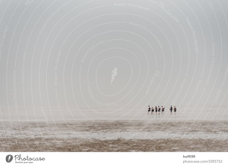 People in fog in the mudflats - mudflat hiking Walk along the tideland Mud flats Lakeside National Park Cloudless sky Group Dawn Morning North Sea Fog