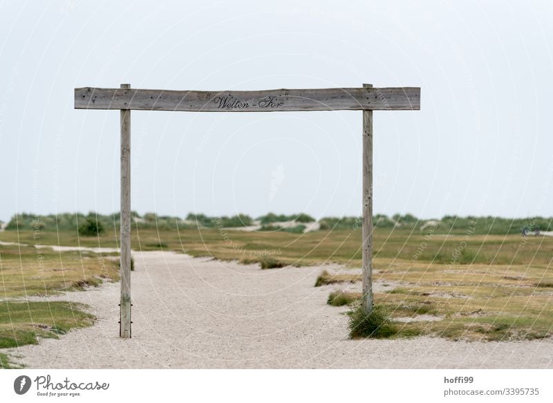 Sand path through the dunes to the sea Sandy beach stage marram grass Tracks Footprints in the sand footprints Dawn Island Summer Vacation & Travel Landscape