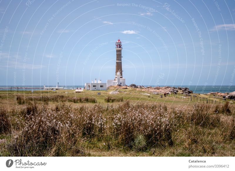 The sky, the sea, a lighthouse. In the foreground the beach garden is growing wildly mixed up Beach Landscape" Lighthouse Ocean Sky coast Vacation & Travel