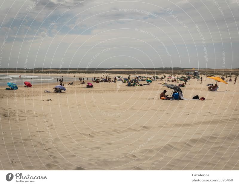 Well frequented, wide beach landscape on a hot summer day Beach Vacation & Travel Relaxation coast Sand people vacation Ocean Summer Sky Exterior shot