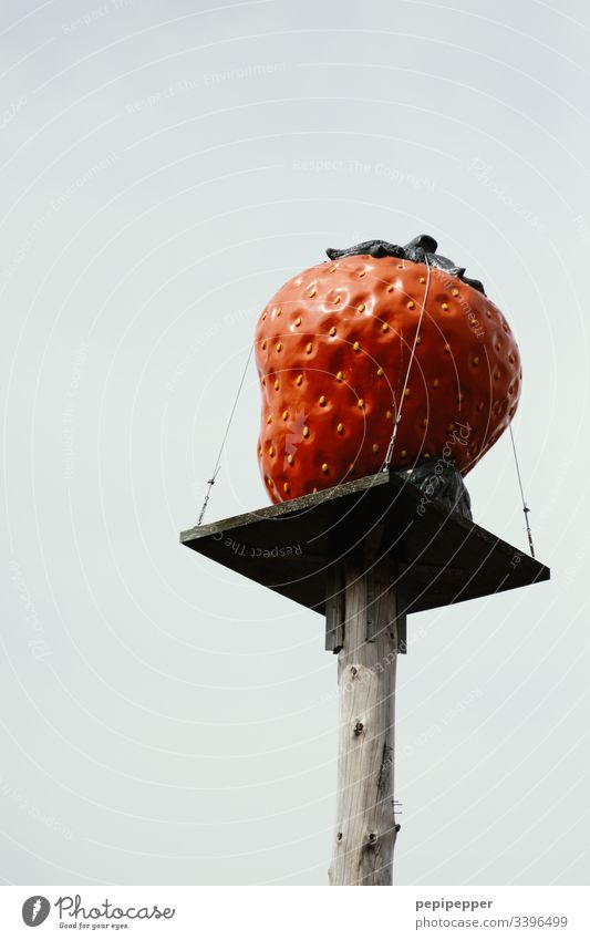 Strawberry on a wooden pedestal for strawberry sales stand Wood Fruit Red Food Colour photo Delicious Nutrition Fresh Close-up Deserted Vegetarian diet Berries