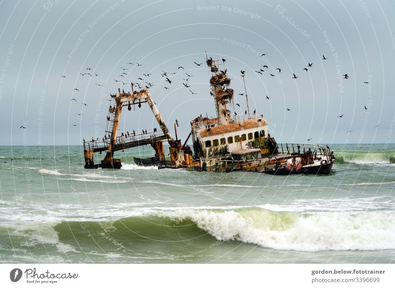 #Namibia sea swallows fishing boats daylight Pamorama photo Light and shadow little colour Holiday and recreation no fauna many birds are circling the ship