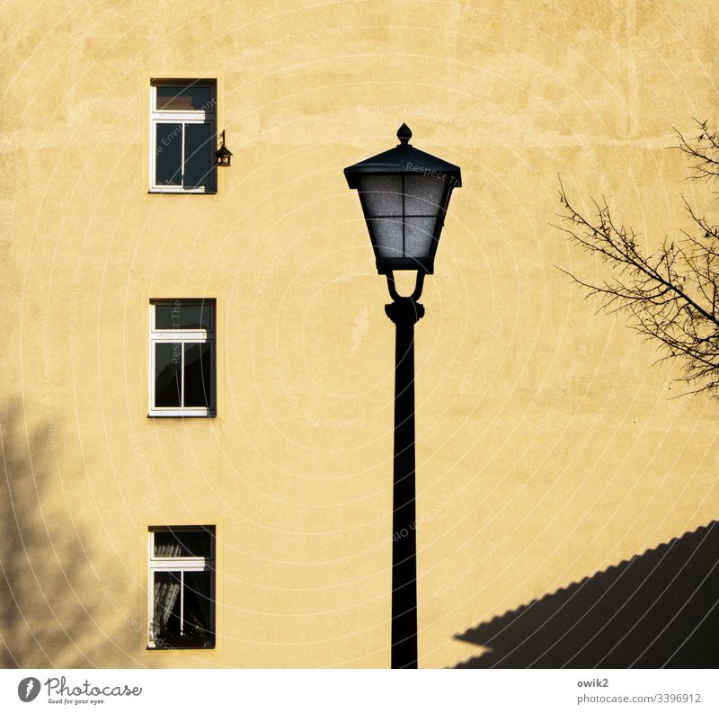 Dream in mustard yellow Wall (building) Facade House (Residential Structure) Building Window Lantern Street lighting Silhouette Tree twigs Gloomy tranquillity