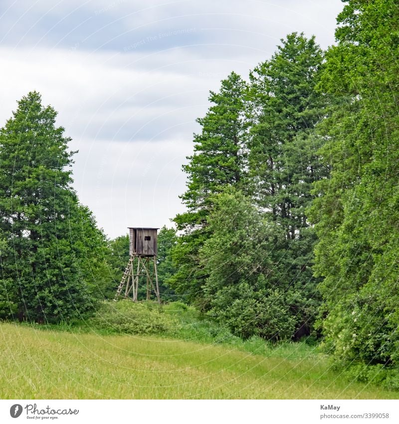 High seat in the landscape of Mecklenburg-Vorpommern, Germany Landscape Hunting Blind Meadow trees Mecklenburg-Western Pomerania Nature Deserted Fence