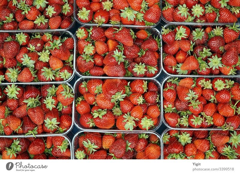Strawberries on Display at Local Market ripe nutrition berry health color closeup agriculture background bazaar bodrum bodrum turkey delicious dessert diet food