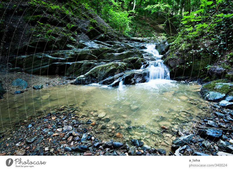 let it flow Environment Nature Plant Elements Earth Water Spring Forest Rock Mountain Canyon River bank Brook Waterfall Stone Esthetic Cold Wet Natural Gray