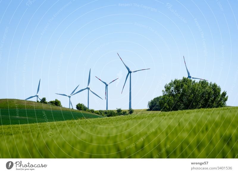 climate change| renewable energies Climate change Future energy revolution Energy industry green energy Renewable energy Exterior shot Colour photo Advancement