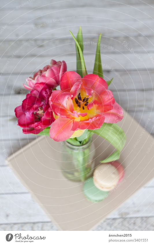 spring awakening Spring Tulip Plant Leaf Blossom Flower Bouquet Vase macarons Interior shot Colour photo Green Blossoming Day Pink Nature Red Decoration