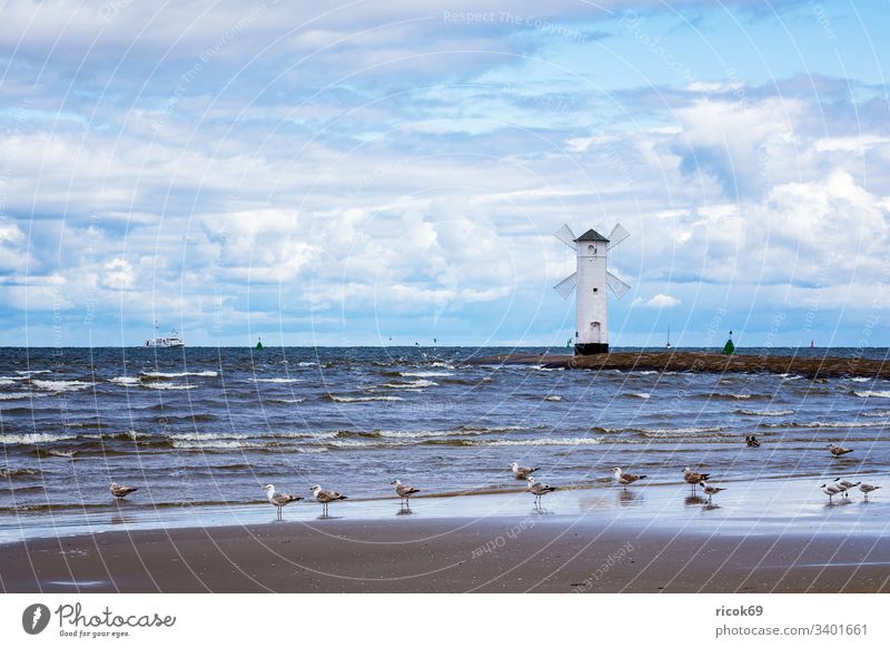Pier on the Baltic Sea coast in Swinemünde, Poland Mole Lighthouse Seagull Windmill Tower Usedom Coast Baltic coast swinoujscie Ocean Landmark vacation Water