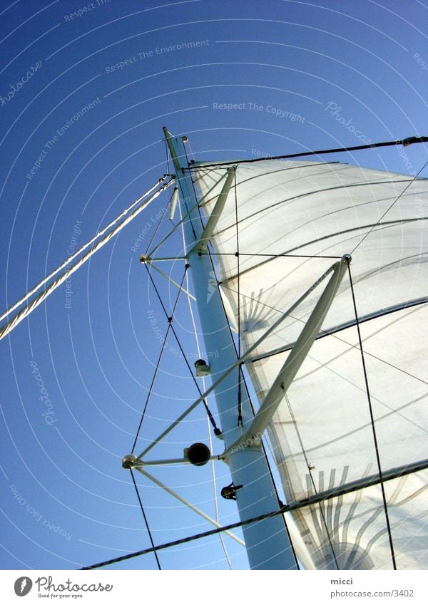 Sails in the wind Sailing Ocean Watercraft Catamaran Vacation & Travel Sports Wind Sky