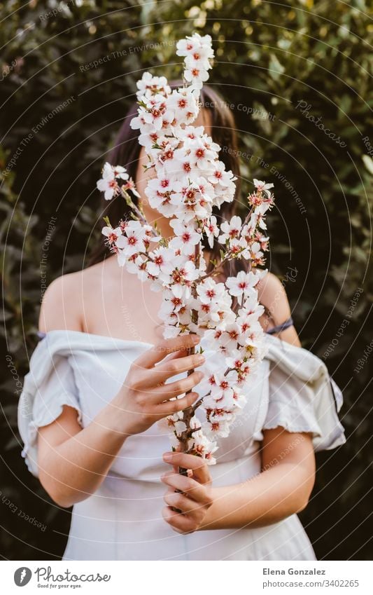 Unrecognizable woman hand holding a branch of almond blossoms. Amazing beginning of spring. Selective focus. Femininity, feminist and feminine concept. fingers